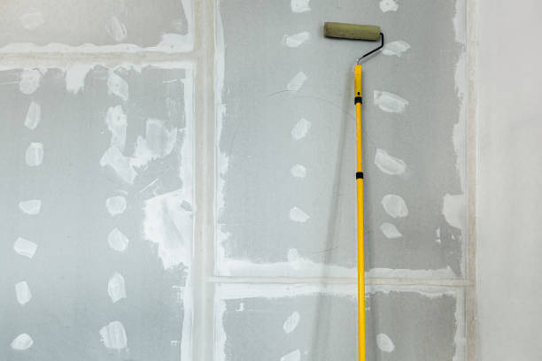 Best Residential Mold Inspection & Testing  in Chinle, AZ