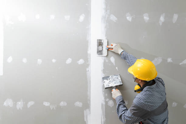 Best Industrial Mold Remediation  in Chinle, AZ