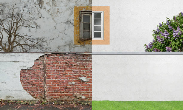 Best Black Mold Removal  in Chinle, AZ