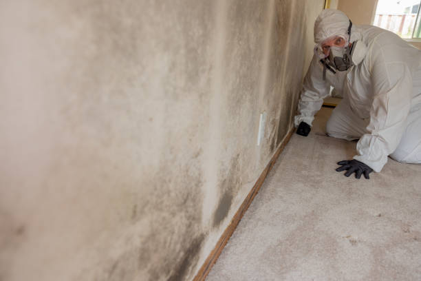 Mold Removal for HVAC Installations in Chinle, AZ