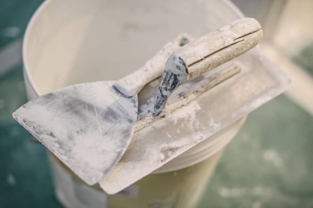 Best Forensic Mold Investigation  in Chinle, AZ